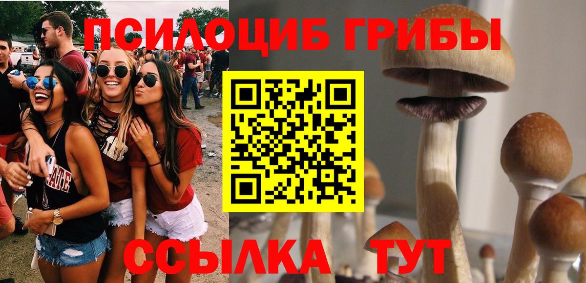 Псилоцибиновые грибы мицелий  Вход с VPN  Псилоцибиновые грибы мухоморы  Арзамас 